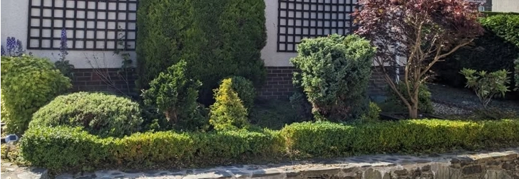 Lawn Care Expertise