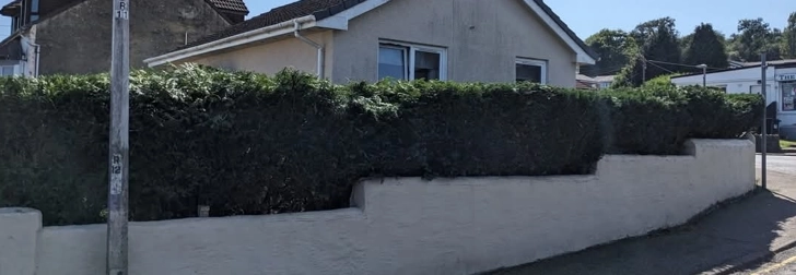 Hedge Maintenance